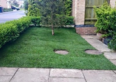 Lawn and patio area enclosed with wooden fence panels