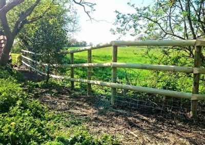 Garden Enclosed with Long Fence