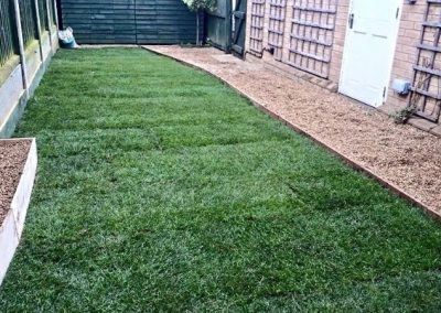 Newly laid garden
